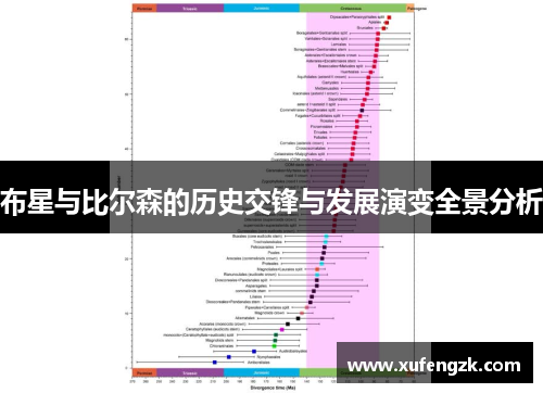 布星与比尔森的历史交锋与发展演变全景分析