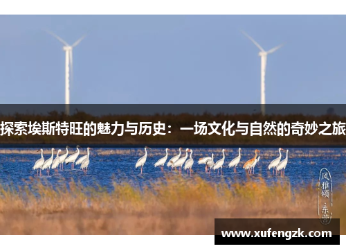 探索埃斯特旺的魅力与历史：一场文化与自然的奇妙之旅